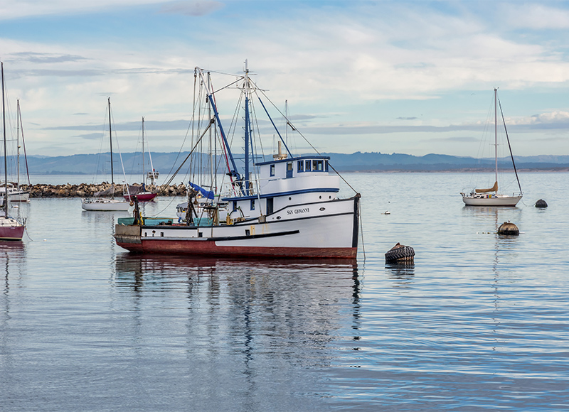 Fishing Boats